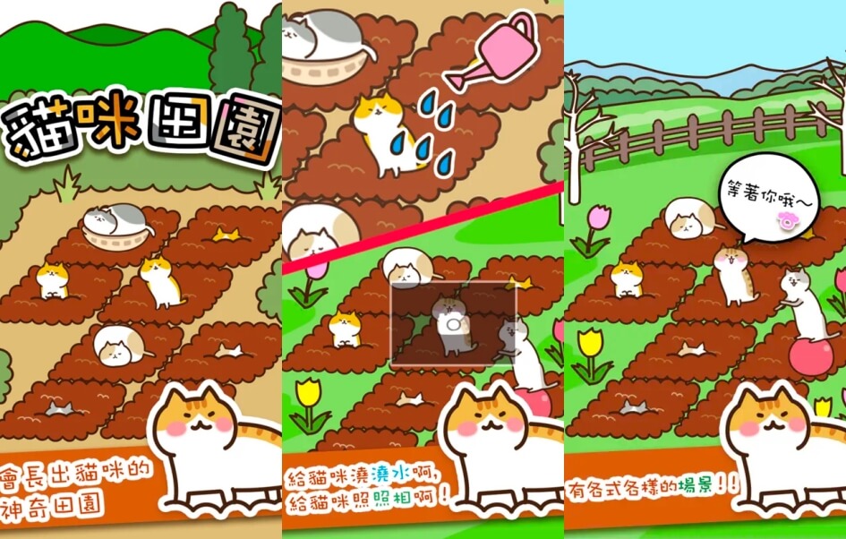 猫咪游戏APP推荐：猫咪田园