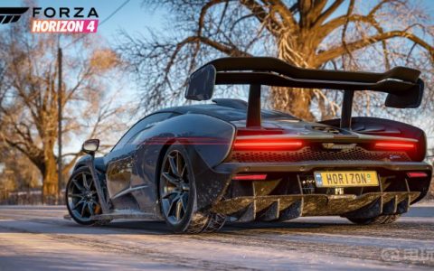 《极限竞速：地平线 4》地平线4用手柄好还是方向盘好？(地平线4适合手柄还是方向盘)