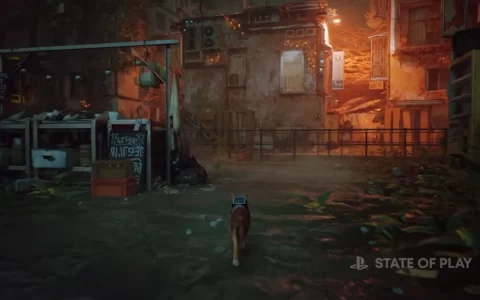《浪猫 Stray》实机影片预告7月发售，化身猫咪和小型机器人共同探索机械城市