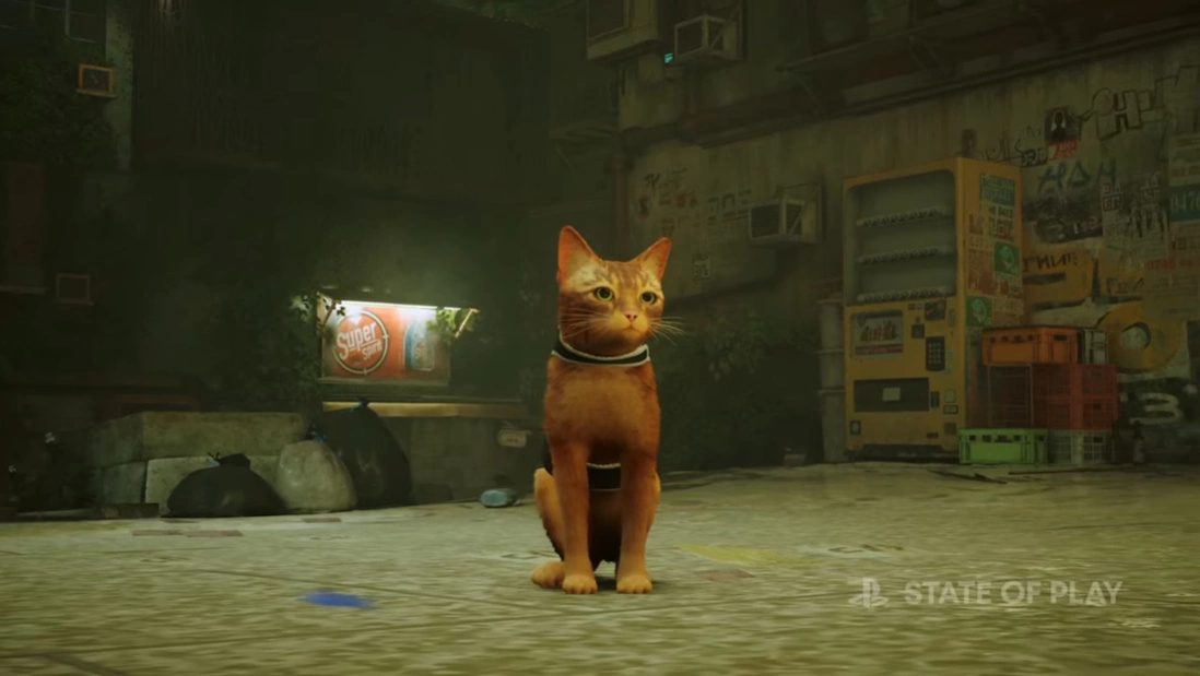 《浪猫 Stray》实机影片预告7月发售，化身猫咪和小型机器人共同探索机械城市