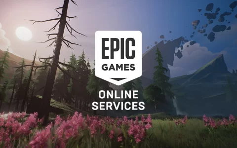 Epic 提供套件开发工具，让开发者能提供 Steam 与 Epic Games Store 之间的跨平台连线