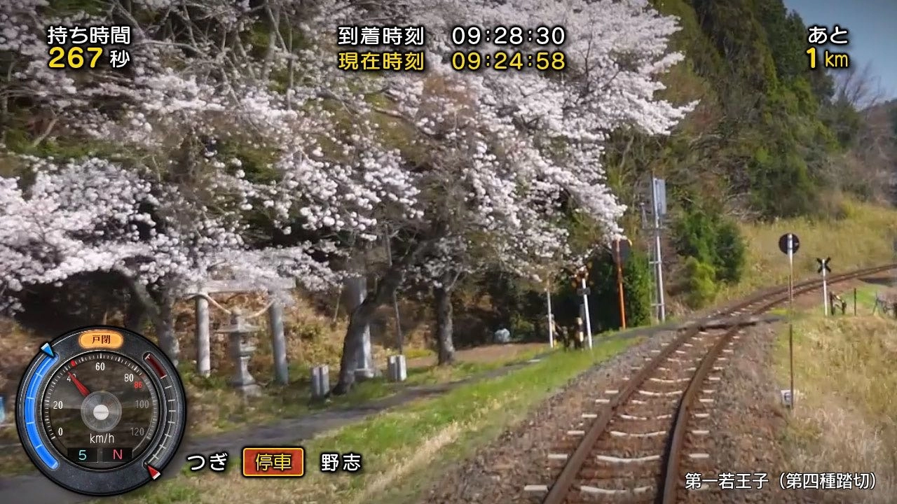 岐阜明知线樱花美景尽收眼底《铁道日本！ 路线之旅 明知铁道篇》8 月即将登场
