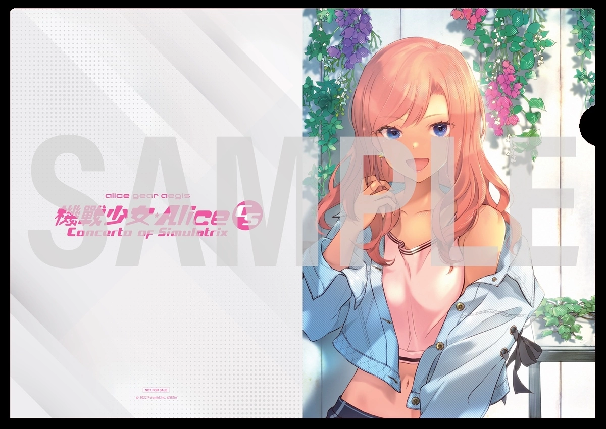 D对战动作游戏《机战少女★Alice