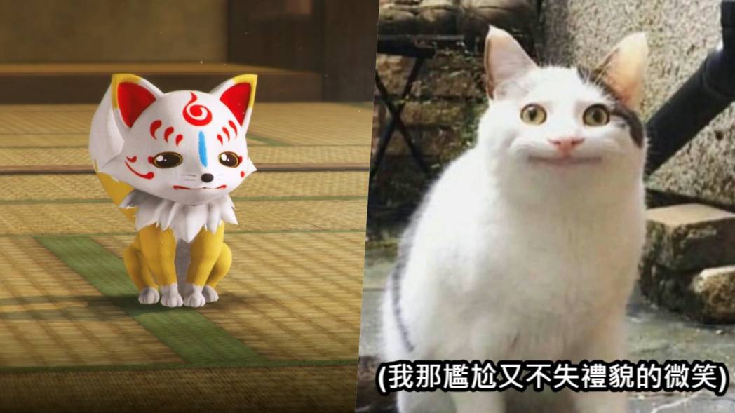 看在我眼中完全是这张脸。