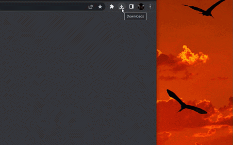 Chrome 浏览器「新功能」，可在下载列表直接拖放文件