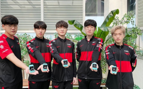 lol春季赛总决赛（总决赛纪念戒指）