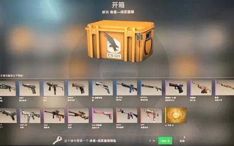 csgo一个箱子多少钱（适合csgo新手玩家的箱子）