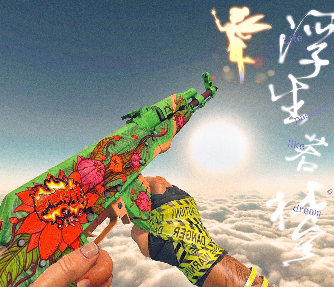 csgo野荷资讯（玩家斥资近50W，打造世界第一野荷）  第1张