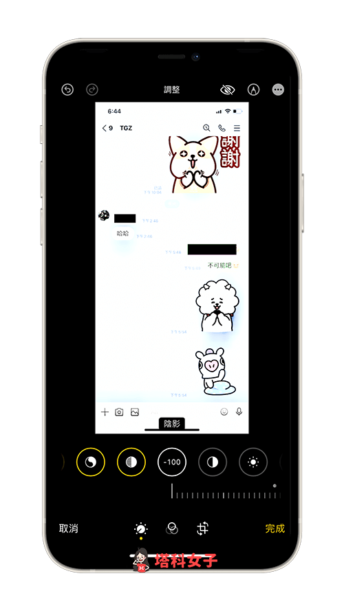 正确地为 iPhone 照片打马赛克:无法透过调色还原