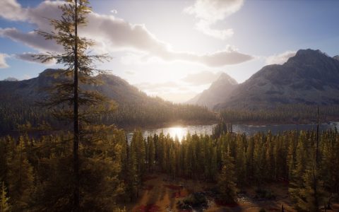 打猎模拟器《Way of the Hunter》全新影片介绍更多野生动物！多样化物种还原现实环境！