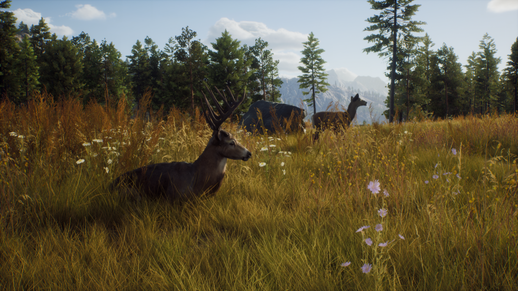 打猎模拟器《Way of the Hunter》全新影片介绍更多野生动物！多样化物种还原现实环境！