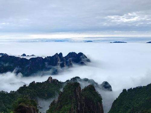 原神角色杂谈珊瑚宫心海篇（现人神巫女命之座，技能相关考据）  第15张