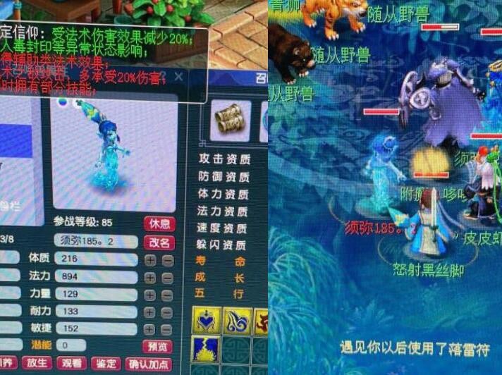 手机梦幻西游（手机玩梦幻的好处）  第4张