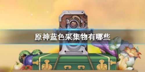 冰雾花的生长位置（晨曦酒庄的任务）  第1张