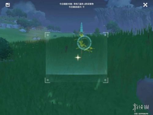 冰雾花的生长位置（晨曦酒庄的任务）  第3张