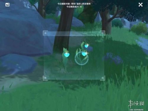 冰雾花的生长位置（晨曦酒庄的任务）  第4张