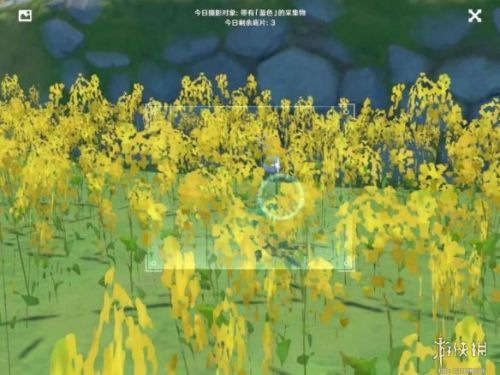 冰雾花的生长位置（晨曦酒庄的任务）  第10张