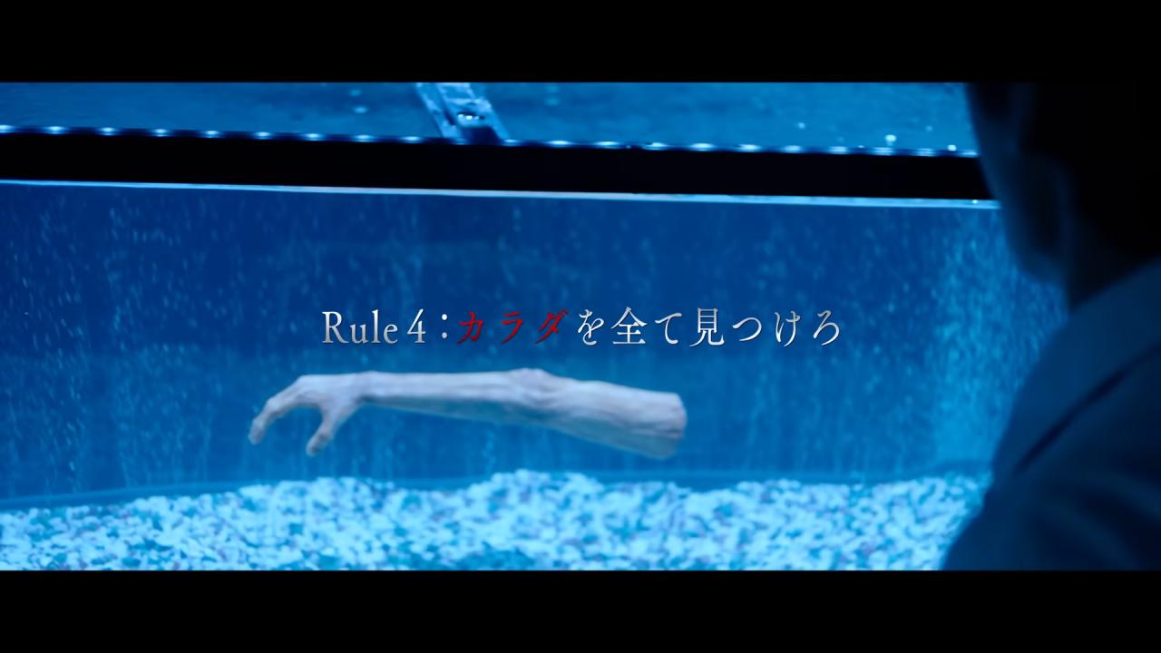 由桥本环奈主演漫改恐怖电影《寻找身体》公开特别预告！电影预计10月14日于日本上映！