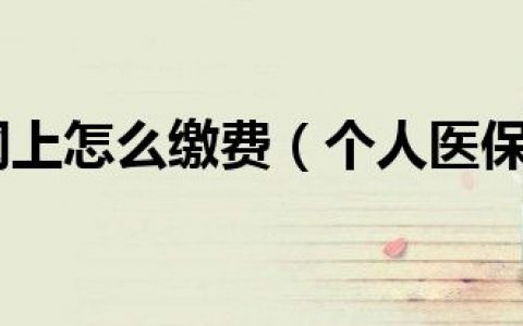 个人医保网上怎么缴费（个人医保网上如何缴费）