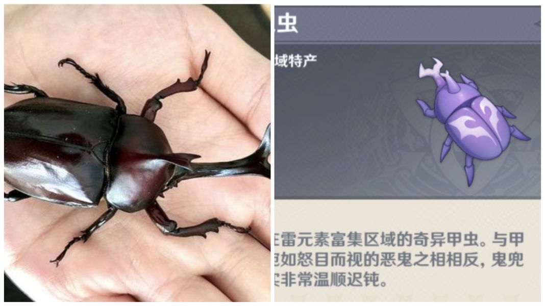 荒泷一斗命之座技能杂谈（荒泷一斗词源考据）  第5张