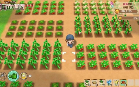 115.gba牧场物语攻略（新手入门技巧）