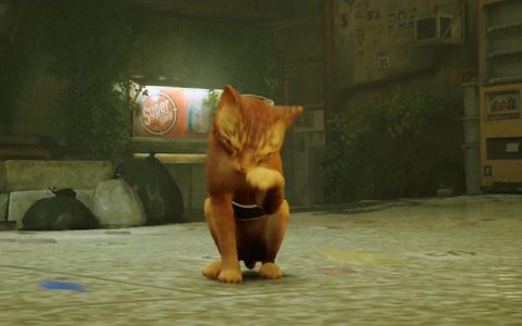 爱猫热潮席卷全球《Stray》踩键盘 地毯磨爪 做尽你主子最爱坏事