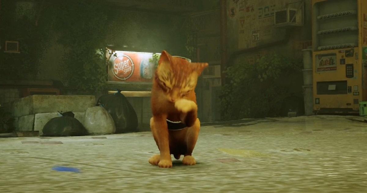 爱猫热潮席卷全球《Stray》踩键盘 地毯磨爪 做尽你主子最爱坏事
