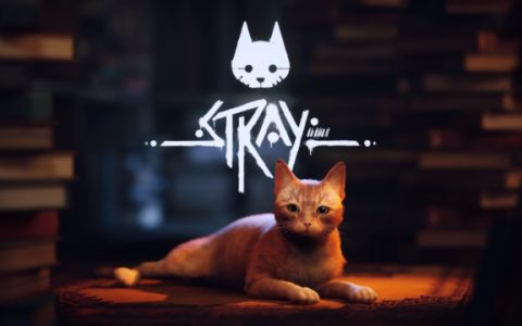 PS5限定！ 猫咪神Game《Stray》隐藏超强机能：完美模拟猫猫酣睡的震动与鼻息