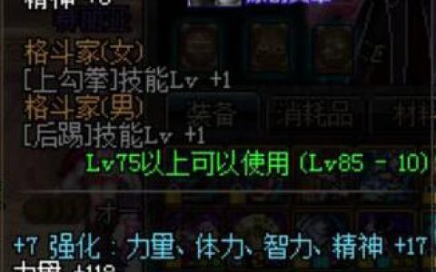 dnf罗塞塔石碑的测试结果（86版本辅助装备怎么出）