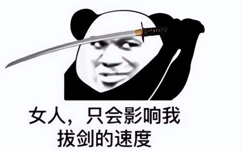 pc回合制经典游戏（PC免费双人回合游戏）