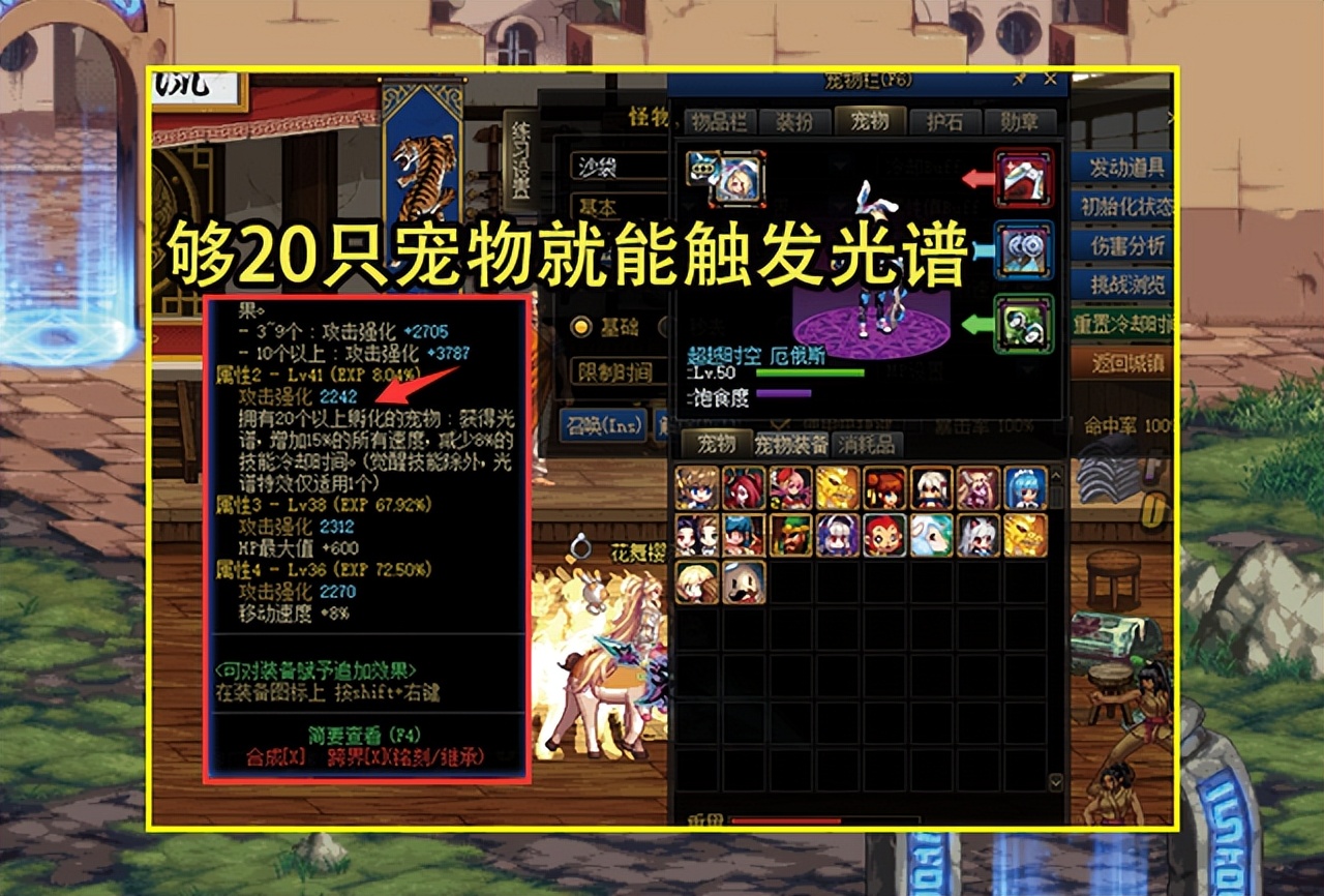 dnf宠物装备（dnf宠物装备怎么拿）  第2张