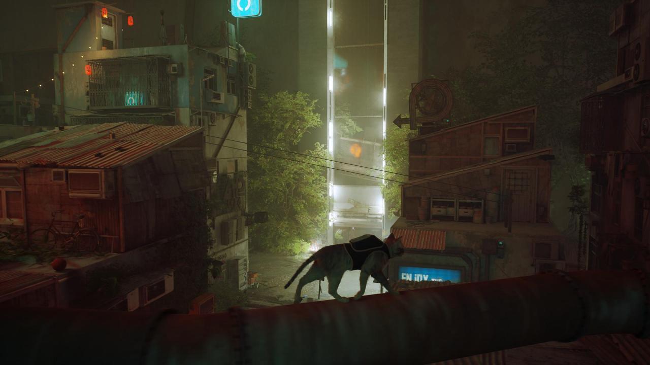 喵喵《Stray》现已成为2022年 Steam评分最高的游戏
