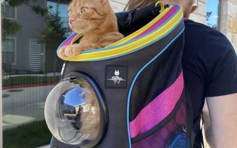 猫猫游戏《Stray》服装实体化！ 同款电玩胸背带与联名猫咪太空旅行背包确认商品化！