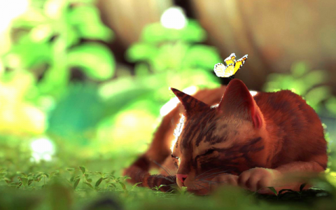猫猫游戏《Stray》一掌拍下《战神》 勇夺2022年Steam玩家评分排名第一的最强游戏