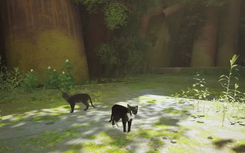 《Stray》PC 版多种毛色改变 Mod 释出，白猫黑猫暹罗猫任君挑选！