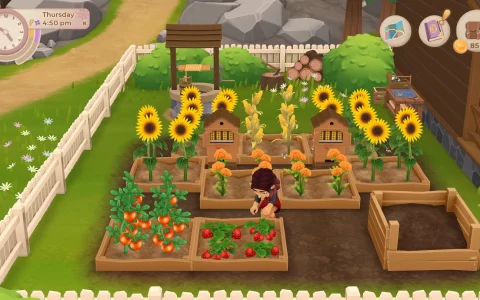 《Wylde Flowers》魔女生活模拟游戏 Steam/Nintendo Switch 版发售日公开