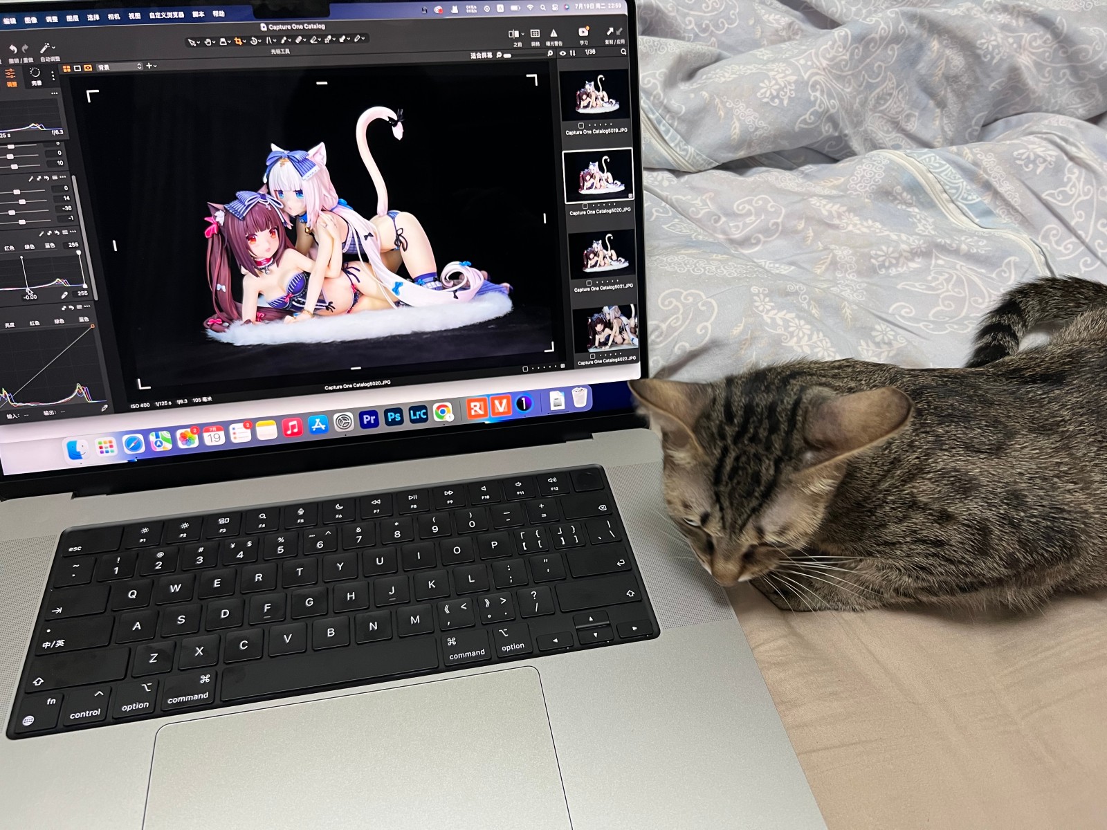 【肥前赏拍】猫娘乐园 巧克力&香子兰