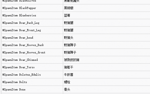 scum最新代码（scum控制台所有代码）