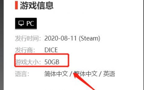 《战地风云5》战地五需要多少g？