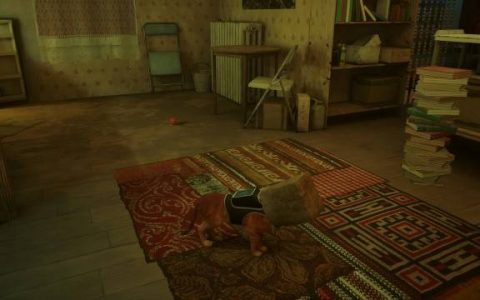 立志当上一只合格的猫！ 玩家能够在《Stray 浪猫》中做到的十件「超机掰」事情