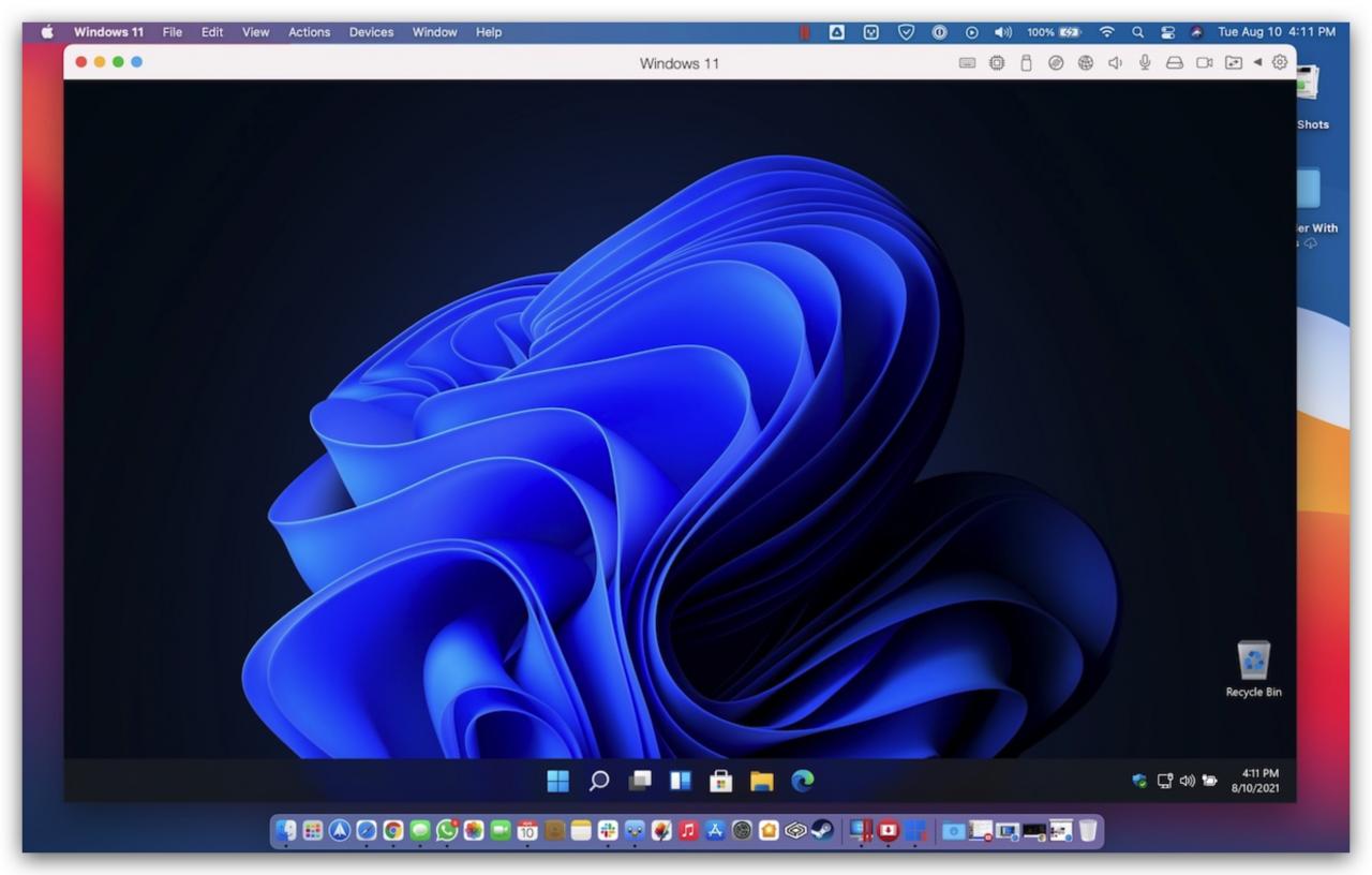 VM Fusion Apple Silicon Windows 11
