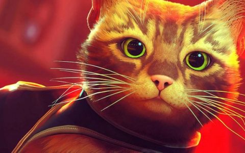 猫猫游戏《Stray》是否有资格角逐TGA年度最佳游戏？ 官方发推文询问后引起大批玩家争议