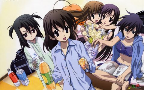 schooldays六集版本（schooldays另外一个六集版本讲的什么？）