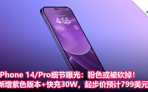 iPhone 14/Pro细节曝光：粉色或被砍掉！新增紫色版本+快充30W，起步价预计799美元起！