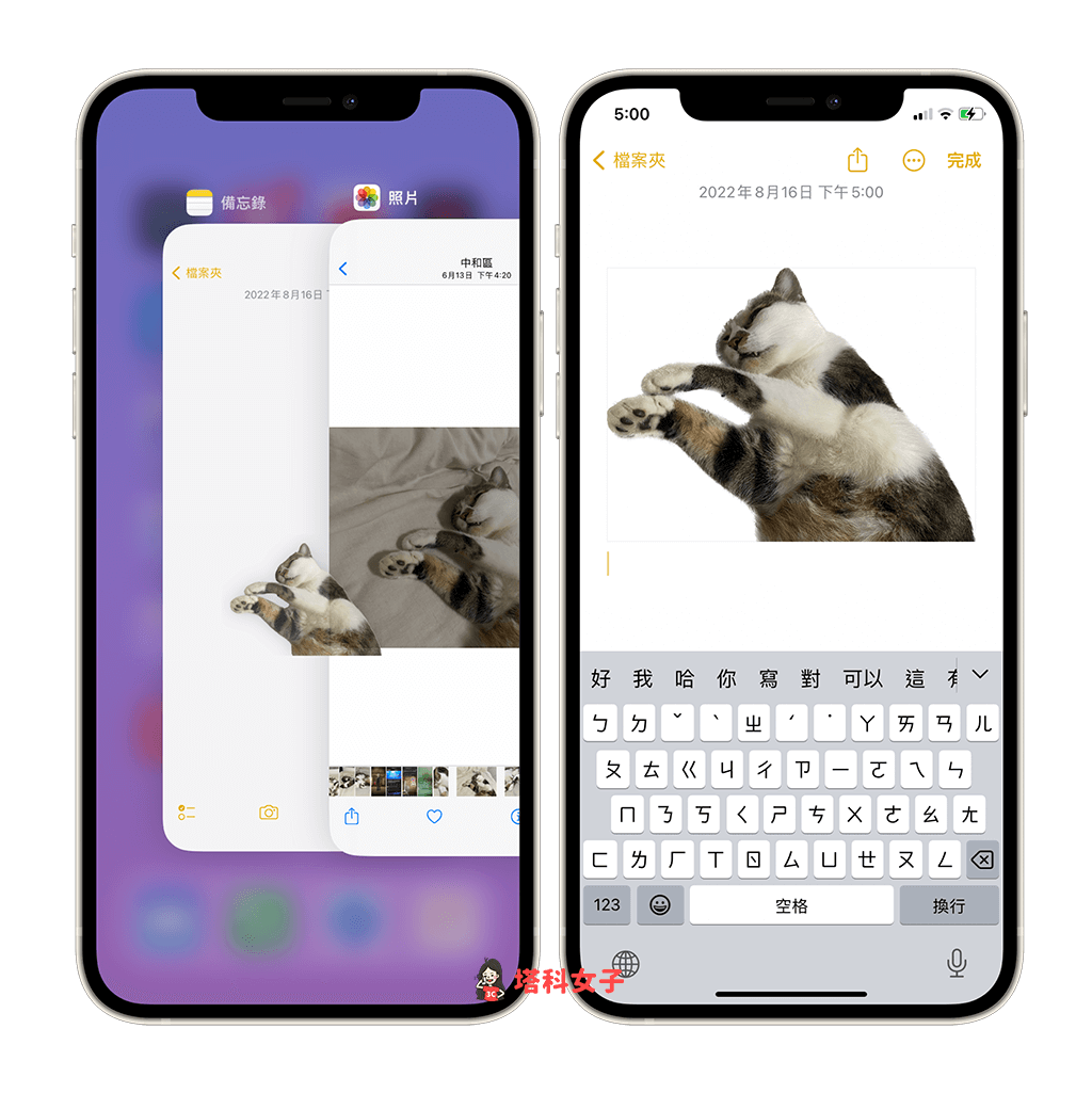 iOS 16 为 iPhone 照片抠图去背：拖曳去背照片到其他 App