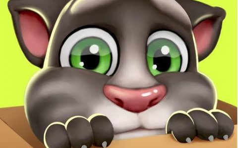 我的汤姆猫无限金币存档（修改破解存档方法）