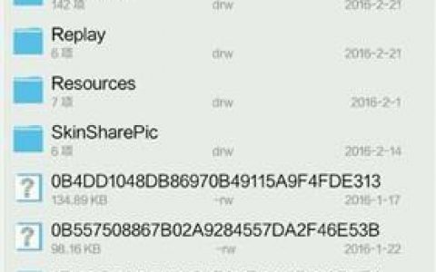 王者本地回放在哪个文件夹（王者荣耀本地回放导出方法）