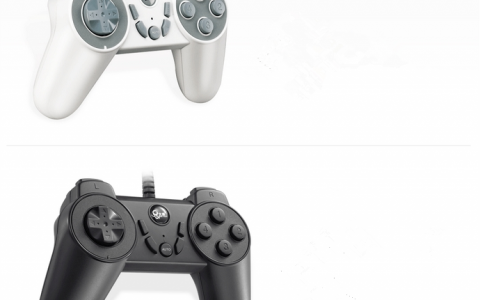 DNF如何用手柄玩（dnf手柄操作介绍）