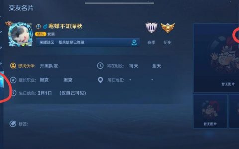 王者生日福利有什么？（关于王者生日福利的详细介绍）