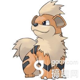 口袋妖怪卡蒂狗性格配招（卡蒂狗性格推荐）